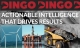 Dingo Trakka – the overnight Australian mining success years in the making