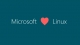 Microsoft joins Linux Foundation as platinum member