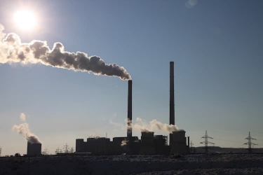 TPG стремится к нулевым выбросам парниковых газов к 2050 году