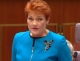 Govt gives Hanson seat on NBN committee