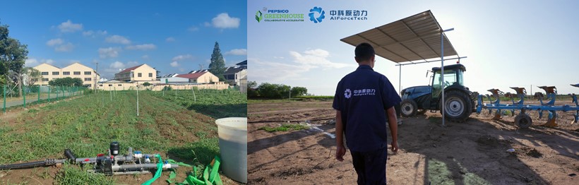 পেপসিকো দল 4