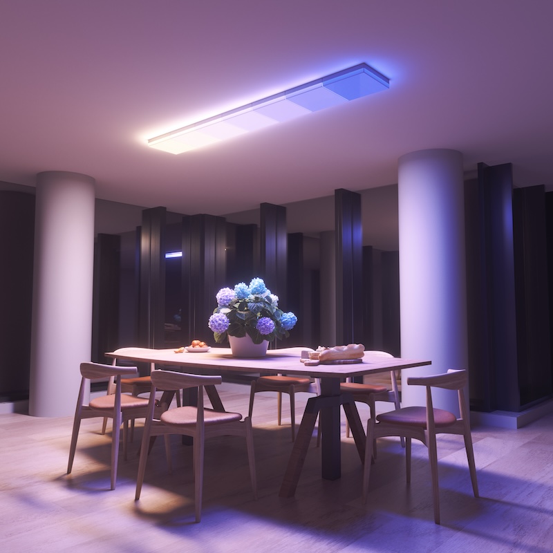 Skylight Dining Room