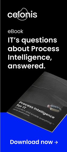 Process Intelligence for IT The eBook Promotion 222x500 SK