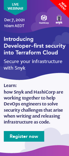 Snyk HashiCorp 222X500