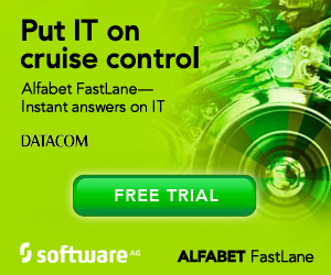 SoftwareAG cruise control 300x250