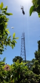 Cape Tribulation gets ‘better than ever’ mobile coverage with Optus tower