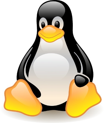 Linux developer loses GPL suit against VMware
