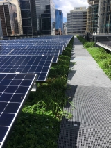 Daramu House, net zero emissions building Sydney