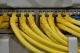 Claims that Ethernet switch market decimated by cloud contested