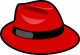 Red Hat on track for US$3b revenue in next fiscal year