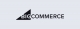 BigCommerce named a strong performer in B2C and B2B commerce solutions, Q2 2022 evaluations