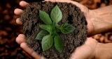 SAP.iO launches sustainability program for startups