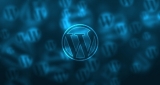 Warning over increasing flaws in third-party WordPress plugins