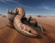 Fossils of ancient legged snakes shows how they lost their legs