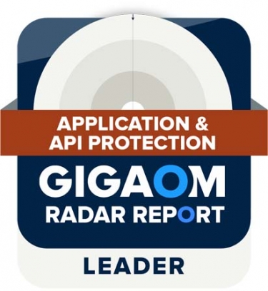 Radware named a leader and outperformer in the GigaOm Radar for application and API protection