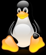 Removing i486 support in Linux only at discussion stage: Torvalds