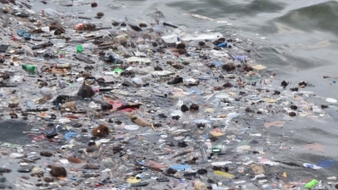 Up to 11 million tonnes of plastic waste sinks from the ocean surface to the ocean floor, where it accumulates