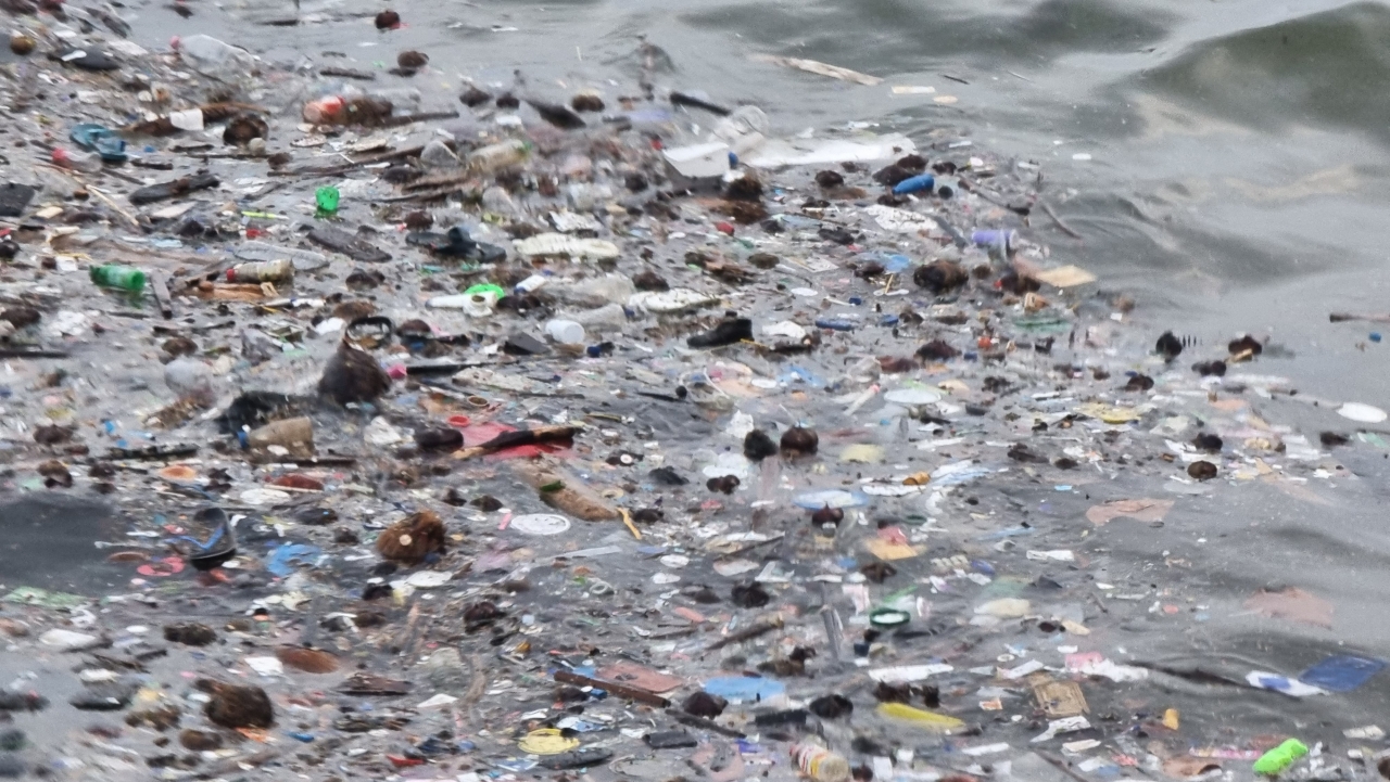 iTWire - Ocean floor a 'reservoir' for plastic pollution, world