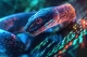 New Infoblox Research Links One of Asia’s Largest iGaming Providers to Criminal Underworld