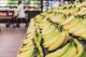 How Bartle Frere Bananas is leveraging Hort Innovation and Hitachi Vantara’s smart farm technology