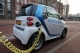 Network of charging stations for electric vehicles planned