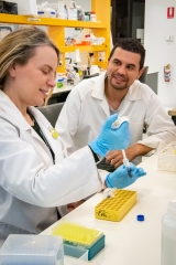 Postdoctoral fellow Dr Taj Arndell working with technician Natalie Niesner at a CSIRO Black Mountain laboratory