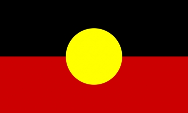 Aboriginal flag now free for public use after $20m Government deal