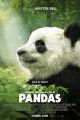 Pandas coming to the IMAX big screen