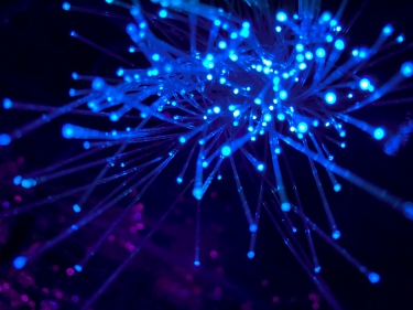 NBN Co, UTS form research agreement to push fibre capabilities