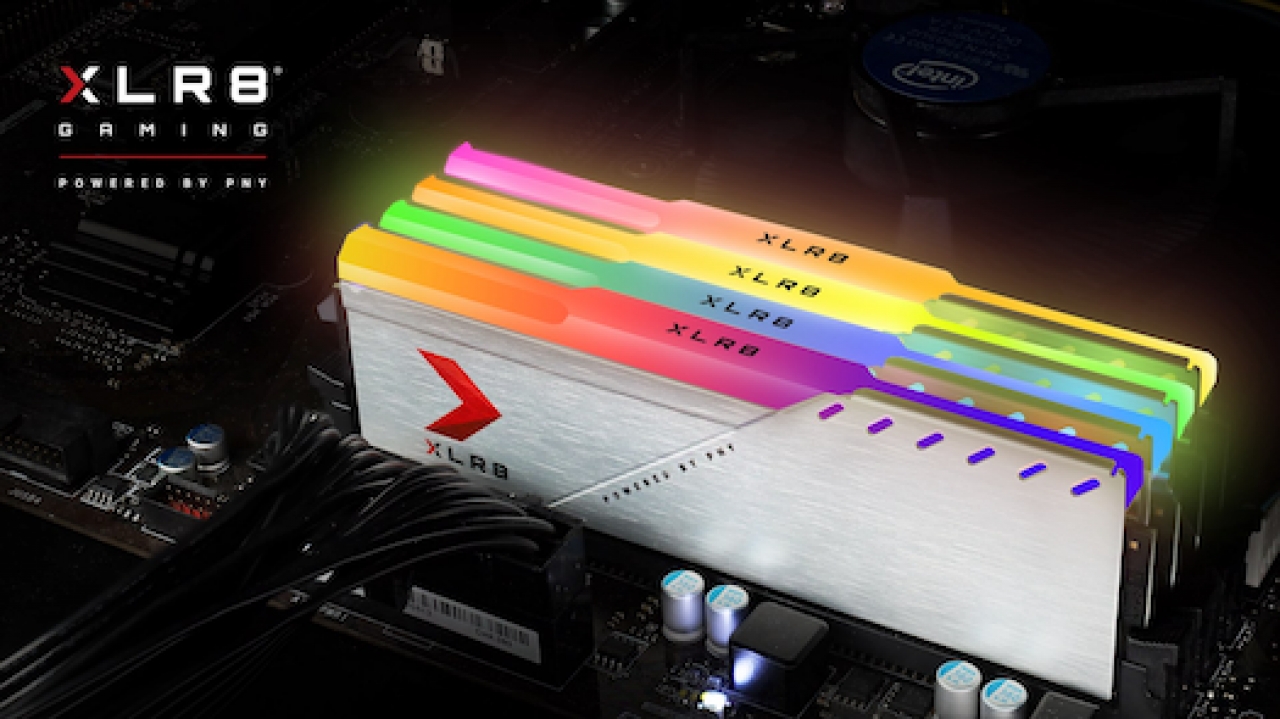 PNY 16GB XLR8 3600 MHz DDR4 Low-Profile Desktop