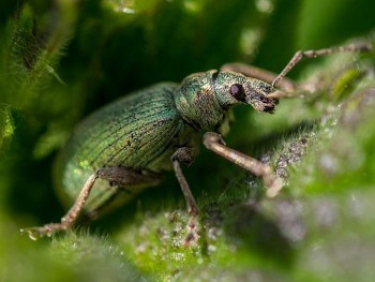 Microsoft's May diet: patches for 73 flaws, including two zero-days