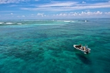 Dell ML model assists Barrier Reef census