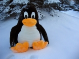 ZDNet and Linux often provide a good chance for a laugh