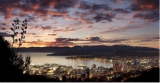 Wellington still on the lookout for Aussie tech talent