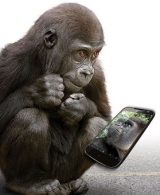 Gorilla Glass 5 – great for swinging through trees