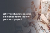 Why you should consider an Independent Tribe for your next project.