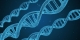 Researchers create new file format that samples DNA 30 times faster