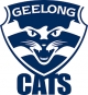 Geelong Football Club gets game-day insights with NetApp data