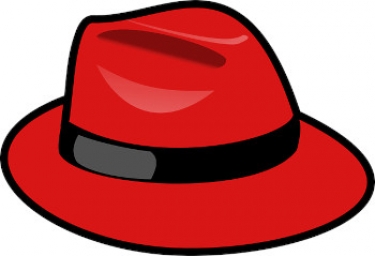 Red Hat joins ranks of companies seeking Stallman sacking