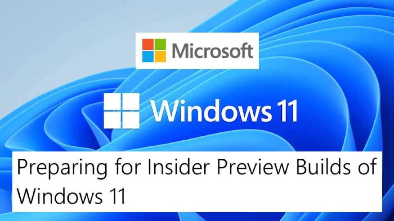 download windows 11 beta